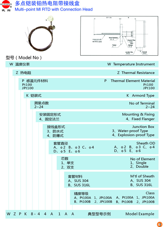 多点铠装铂热电阻带接线盒